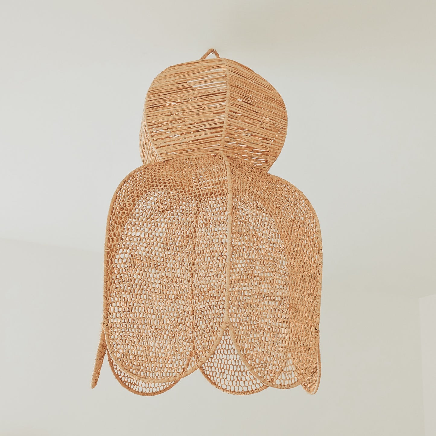 Suspension Lily